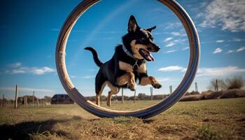 süß Hündchen spielen im das Sommer- Gras generiert durch ai foto