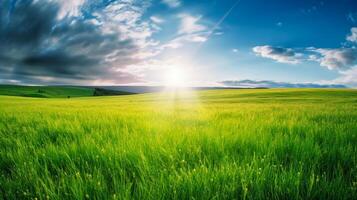 Land scape Bild von umfangreich Rasen und Blau Himmel, Weiß Wolken und das Sonne auf das Horizont. generativ ai foto