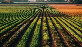 Grün Wiese, gestreift Weizen, gesund Essen Industrie generiert durch ai foto