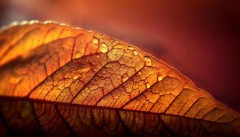 beschwingt Herbst Farben erleuchten Natur organisch Schönheit generiert durch ai foto