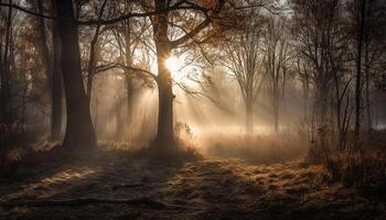 Geheimnis im Natur Schönheit gespenstisch Nebel generiert durch ai foto