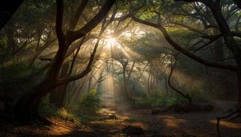 Geheimnis umgibt das gespenstisch nebelig Wald Pfad generiert durch ai foto