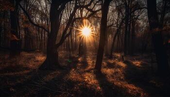 Silhouette von gespenstisch Baum im neblig Wald generiert durch ai foto