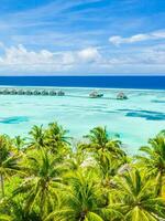 Antenne Sommer- Landschaft. Malediven Paradies Strand. perfekt tropisch Insel Sicht. schön Palme Bäume und tropisch Strand. bunt Ozean Küste Ufer Blau Lagune. Luxus Reise Sommer- Urlaub Hintergrund foto