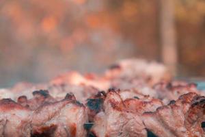 Schaschlik am Spieß und heiße Kohlen mit Rauch foto