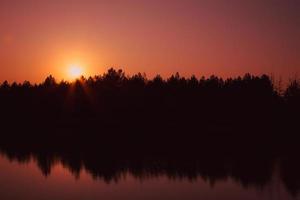 schöner Herbstwald zur Sonnenuntergangszeit foto