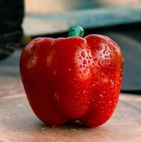 eine frische rote Paprika nah oben auf hölzernem Hintergrund foto