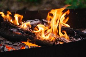 brennende Holzkohle im Feuer zum Grillen
