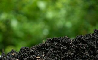 Hintergrund mit Boden und Grün von Natur. Umwelt Schutz Konzept, Wiederaufforstung, co2 die Ermäßigung, recyceln. foto