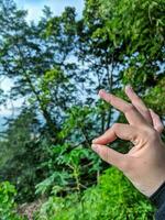 Hand zeigen in Ordnung Zeichen mit Grün Natur Hintergrund. Fokus auf Hand, Makro Schuss, und selektiv Fokus. Gefühle und Emotionen Konzept. foto