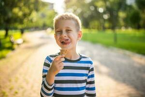 wenig Junge Essen Eis Sahne im das Park foto