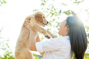 asiatisch Frauen spielen golden Retriever Hündchen im das Garten. foto