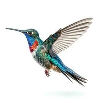 Blau lebendig breit in Rechnung gestellt Kolibri isoliert. Illustration ai generativ foto
