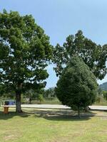 Taman Aufgabe Jahrtausend Malaysia . natürlich Hügel Garten See zusammen foto