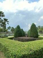 natürlich Garten , Tanga Putrajaya Schritte im Malaysia foto