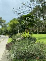 perdana botanisch Garten botanisch Garten im Malaysia foto