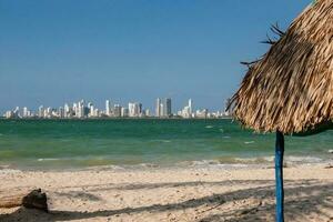 schön Strand beim Tierra Bomba im Kolumbien. touristisch Bereich von Cartagena gesehen von Tierra Bomba foto