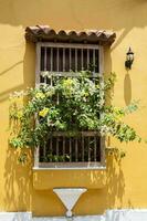 schön Fenster von das bunt kolonial Häuser im Cartagena de Indien foto