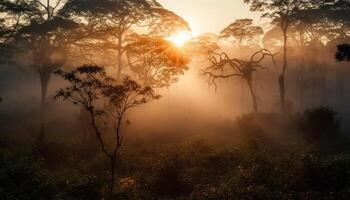 Sonnenuntergang Silhouette, Baum Ast zurück zündete Orange generiert durch ai foto