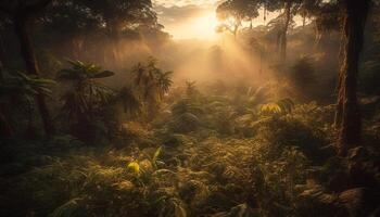 Sonnenaufgang Über neblig Wald, Herbst Blätter fallen generiert durch ai foto