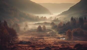 mysteriös Nebel Decken still Wald beim Dämmerung generiert durch ai foto