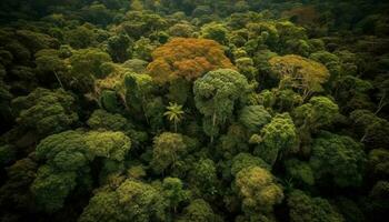 Grün Blätter auf Herbst Bäume im Wald generiert durch ai foto
