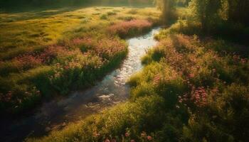 Wildblumen blühen im Wiese, ein bunt Szene generativ ai foto