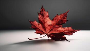 beschwingt Ahorn Blatt symbolisiert Herbst Schönheit im Natur generativ ai foto