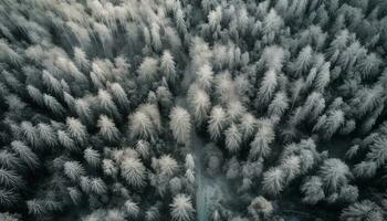 hoch oben fliegend Drohne erfasst Winter Wunderland generiert durch ai foto