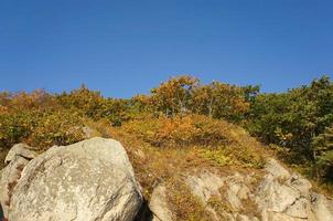 Landschaft mit Bergen mit Pflanzen im Herbst bedeckt foto