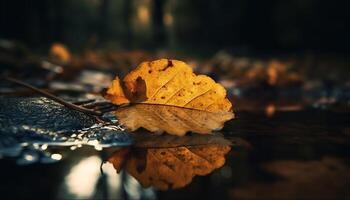 golden Ahorn Blatt Stürze in still Teich, reflektieren beschwingt Herbst Schönheit generiert durch ai foto