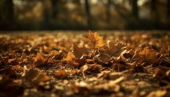 beschwingt Herbst Ahorn Baum, multi farbig Blätter fallen im Sonnenlicht generiert durch ai foto