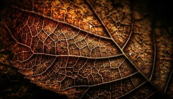 beschwingt Gelb Blatt Vene schafft texturiert Muster im Herbst Wald generiert durch ai foto