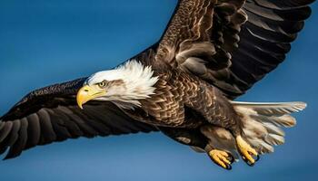 das majestätisch kahl Adler, Symbol von amerikanisch Patriotismus, steigt an Mitte Luft generiert durch ai foto