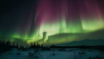 Silhouette von majestätisch Bäume beleuchtet durch beschwingt Aurora Polaris generiert durch ai foto