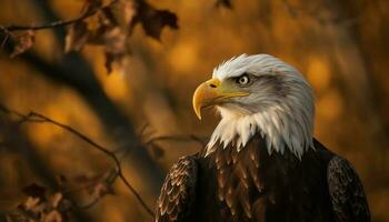 majestätisch kahl Adler sich niederlassen auf Zweig, Symbol von amerikanisch Freiheit generiert durch ai foto