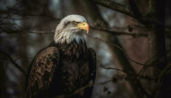 majestätisch kahl Adler sich niederlassen auf Zweig, Symbol von amerikanisch Patriotismus generiert durch ai foto