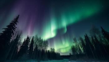 Silhouette von Kiefer Bäume beleuchtet durch Star geformt Aurora Polaris generiert durch ai foto