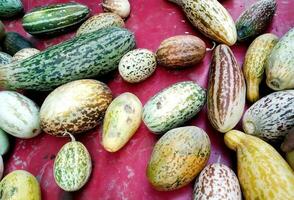 reif Melonen Latein Cucumis Melo von das Neu Ernte sind verkauft beim das Markt foto