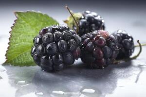 Brombeeren, erstellt mit generativ ai foto