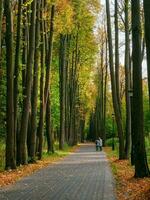 schön Herbst Park mit Silhouetten von Gehen Menschen foto