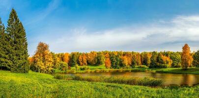 Panorama von das Herbst Park. schön Herbst Landschaft mit rot Bäume durch das See. foto