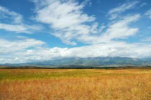 hell Herbst Steppe Landschaft. Steppe auf das Hintergrund von Berge. Hintergrund von landwirtschaftlich Feld und Berge. foto