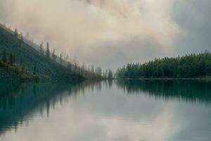 Sanft Fokus. Silhouetten von Tanne Hang entlang Berg See im dicht Nebel. Betrachtung von Nadelbaum Bäume im Blau Wasser. alpin still Landschaft beim cool früh Morgen. gespenstisch atmosphärisch Landschaft. foto