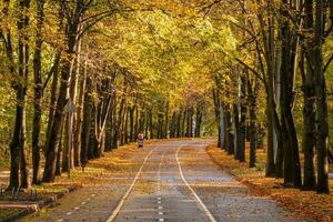 Herbst Wicklung Gasse mit ein Silhouette von ein Gehen Mutter mit ein Baby Wagen. foto