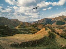 Berg Terrain. hoch Grün Hügel Komplex Berg Landschaft, Grün Terrassen bedeckt mit spärlich Vegetation Pisten. Dagestan foto