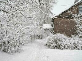 schneebedeckt Weiß Hintergrund im Dorf. Winter Bäume mit Raureif d foto