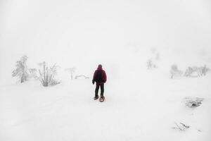 Sanft Fokus. einsam Reisender mit Rucksack auf Schneeschuhe Spaziergänge entlang ein schneebedeckt Steigung im ein nebelig Frost Leichentuch. stark Nord Wetter, Arm Sichtweite. Polar- Expedition. Kopieren Raum. foto