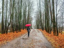 Herbst Gasse mit ein einsam Frau Gehen nach vorne unter ein rot Regenschirm. Aussicht von das zurück. foto