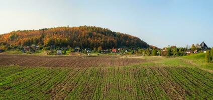 Panorama- Landschaft mit landwirtschaftlich Land, mit ein Dorf im das Hintergrund. foto